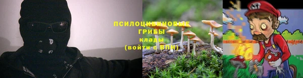 прущая мука Балахна