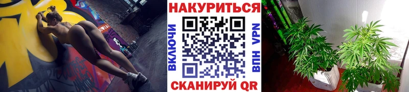kraken ссылки  Можайск  Канабис конопля  продажа наркотиков 